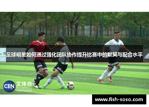足球明星如何通过强化团队协作提升比赛中的默契与配合水平