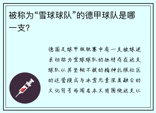被称为“雪球球队”的德甲球队是哪一支？